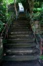 391 Hb One hundred steps 5