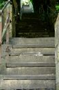 393 Hb One hundred steps 7
