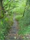 121 Ludd top midgely rd