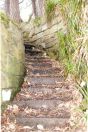360 Hb spring wood - midgehole rd
