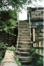 440 Tod woodhouse mill