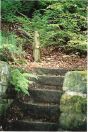 443 Tod buckley woods