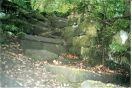 446 Tod buckley woods 3
