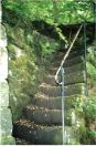 447 Tod buckley woods 4