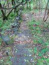 123 Ludd top midgely rd 3