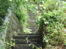 804 DSC0 0084_r1_r1