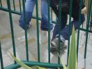 816 urban steps by tod canal by anis_r1_r1