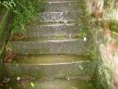 813 nikis step. oh yeah._r1_r1