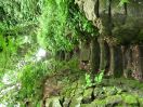 741 lukes steps_r1