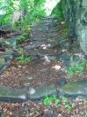 101 Ludd Brearley woods 3