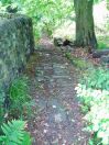 104 Ludd Brearley woods 4