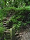 296 Tod behind scaitcliff hall 2