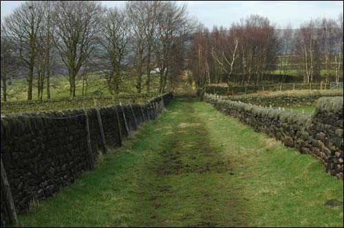  to Stoodley Pike and back to Hebden Bridge