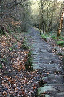 Hardcastle Crags and back